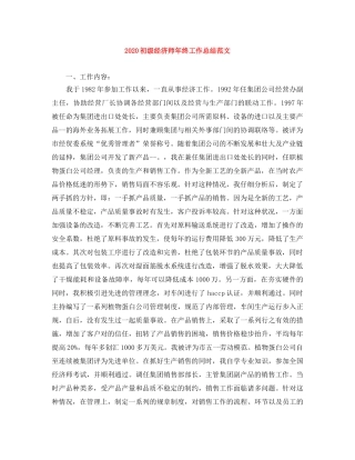 2024初级经济师年终工作总结范文 