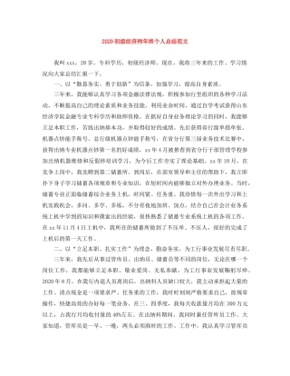 2024初级经济师年终个人总结范文 