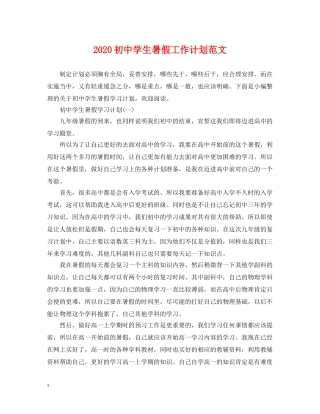 2024初生暑假工作计划范文 