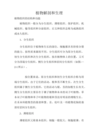 植物解剖与生理汇总