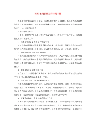 2024出纳员的工作计划5篇 