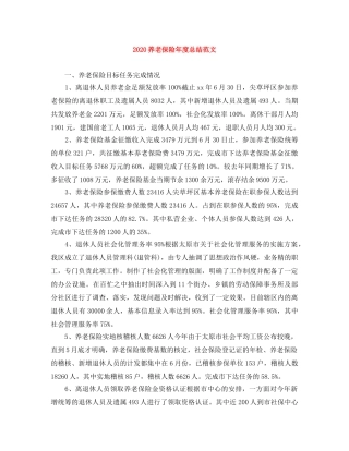 2024养老保险年度总结范文 