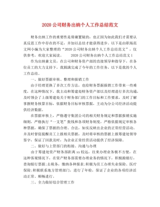2024公司财务出纳个人工作总结范文 