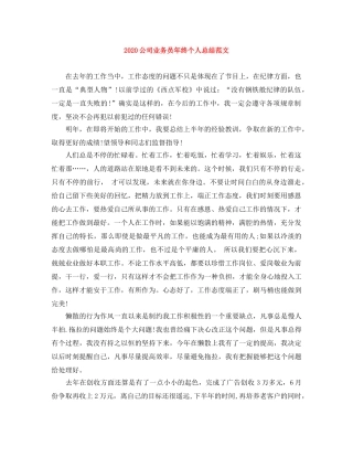 2024公司业务员年终个人总结范文 