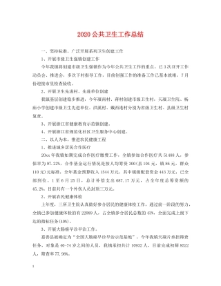 2024公共卫生工作总结2 