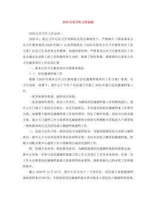 2024公共卫生工作总结 