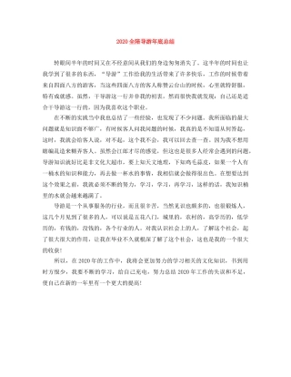 2024全陪导游年底总结 