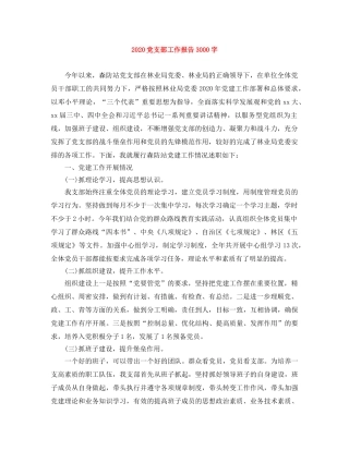 2024党支部工作报告3000字 