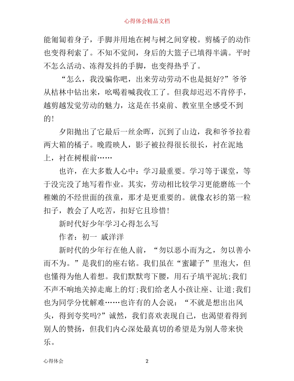 新时代好少年扣好人生第一粒扣子主题征文 新时代好少年学习心得怎么写 _第2页