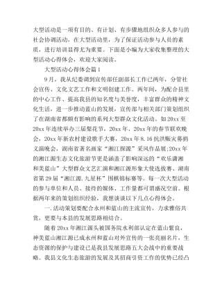 大型活动心得体会