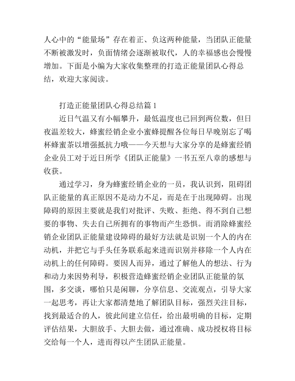 打造正能量团队心得总结_第1页
