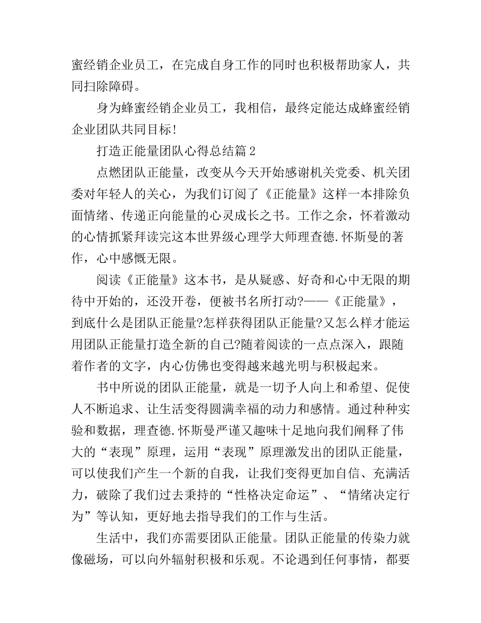 打造正能量团队心得总结_第3页