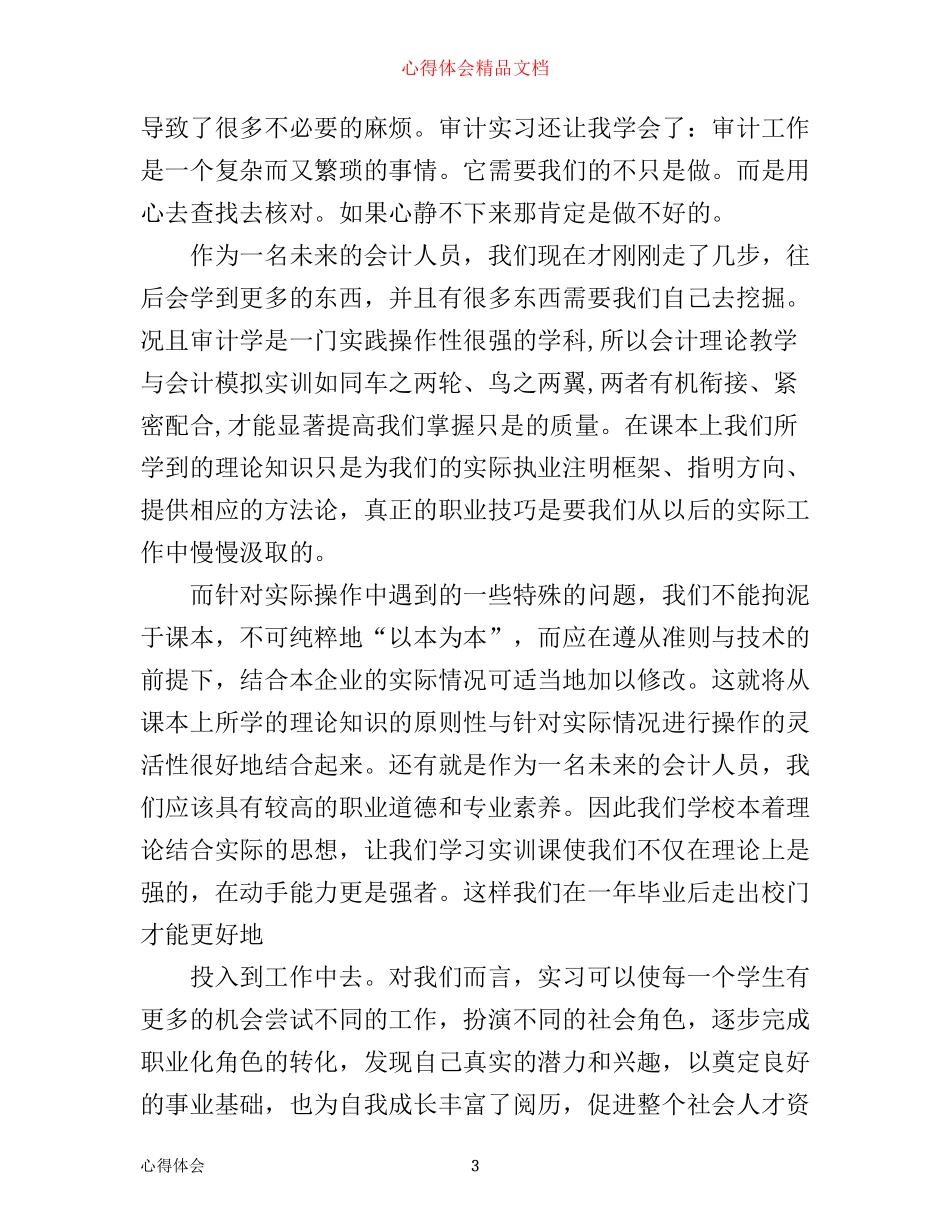 有关审计学实训心得体会4篇_第3页