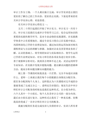 有关审计学实训心得体会4篇