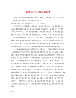 新员工转正工作总结范文2