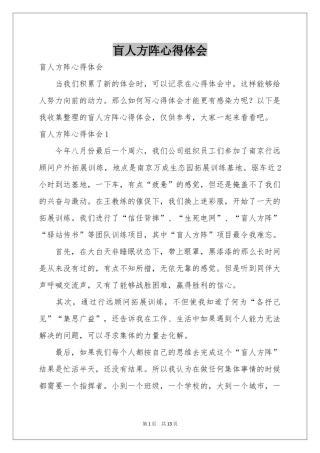 盲人方阵体会心得
