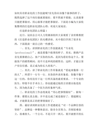 打造职业化团队心得