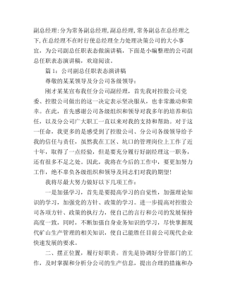 公司副总任职表态演讲稿