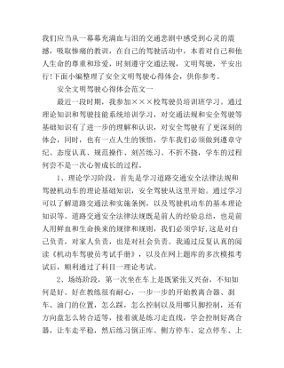 安全文明驾驶心得体会