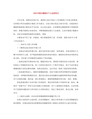 2020年度乡镇统计个人总结范文