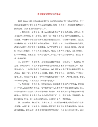 项目验收专项审计工作总结 