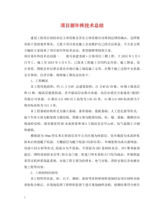 项目部年终技术总结 