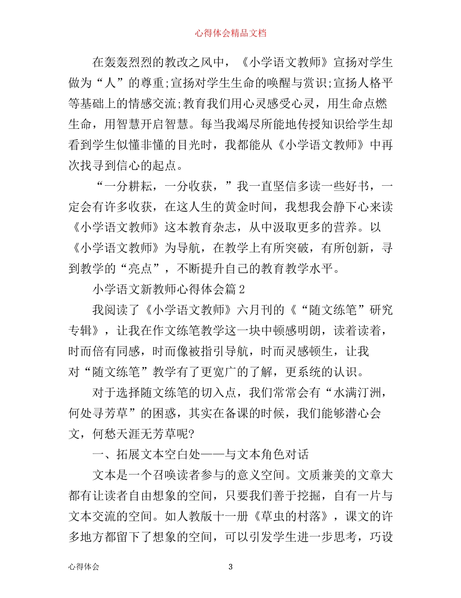小学语文新教师心得体会_第3页