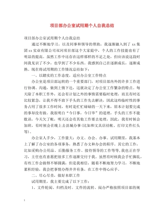 项目部办公室试用期个人自我总结 