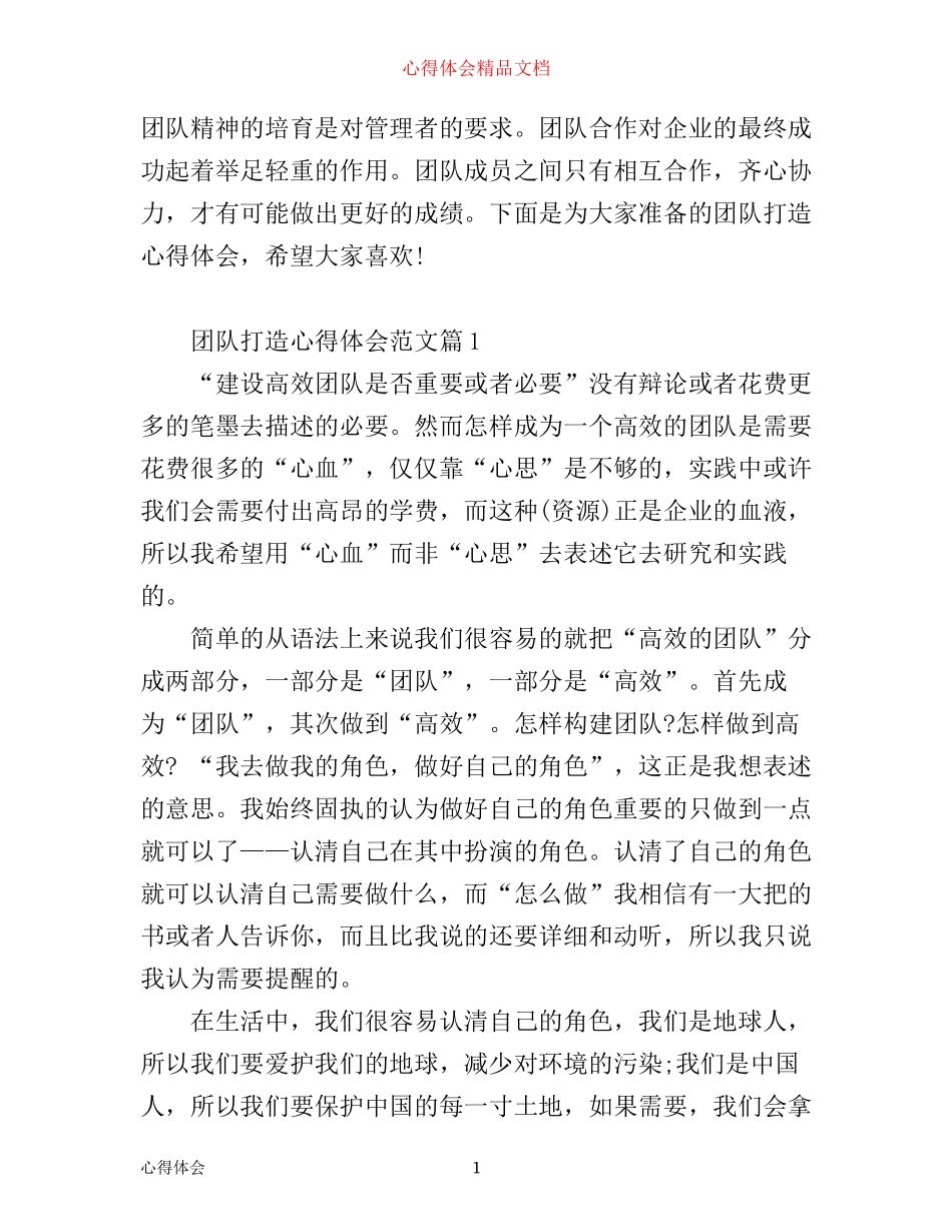 团队打造心得体会范文精选_第1页