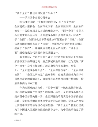 最新四个全面的心得体会范文