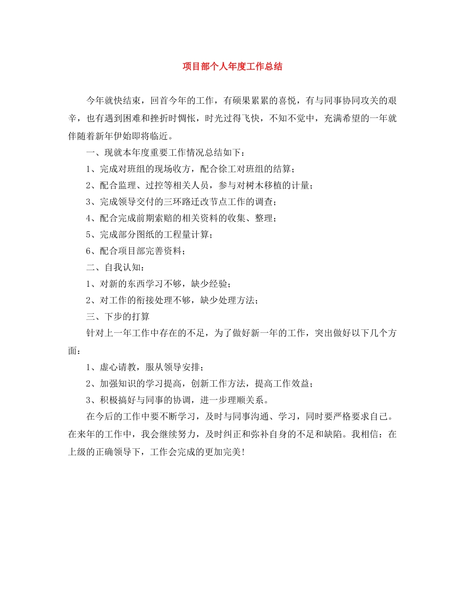 项目部个人年度工作总结 _第1页