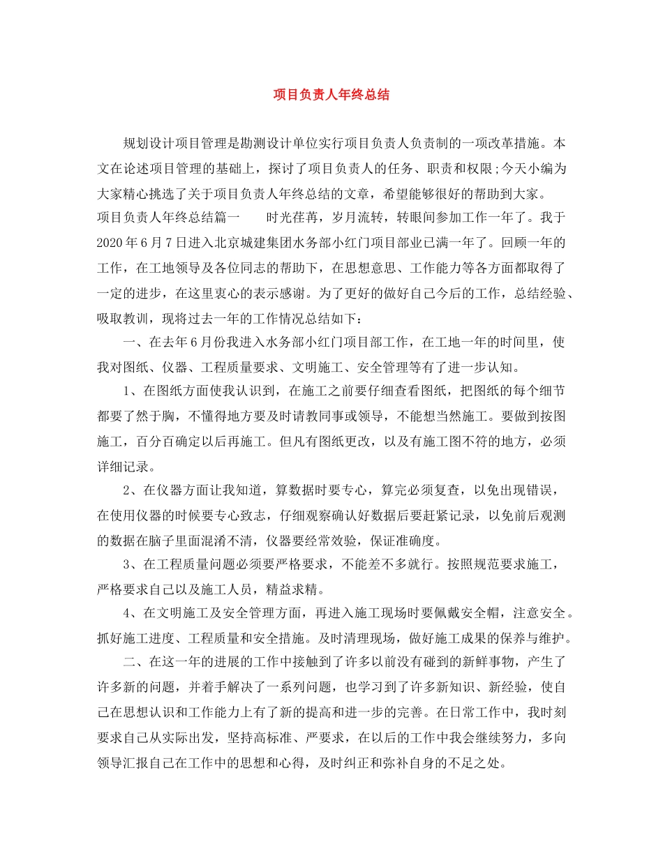 项目负责人年终总结 _第1页