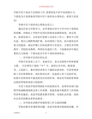 学校中层干部培训心得体会3篇