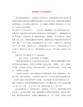 项目招标个人工作总结范文 