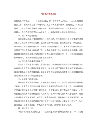 项目执行年终总结 