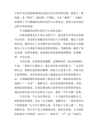 不可触碰的纪律红线学习心得体会