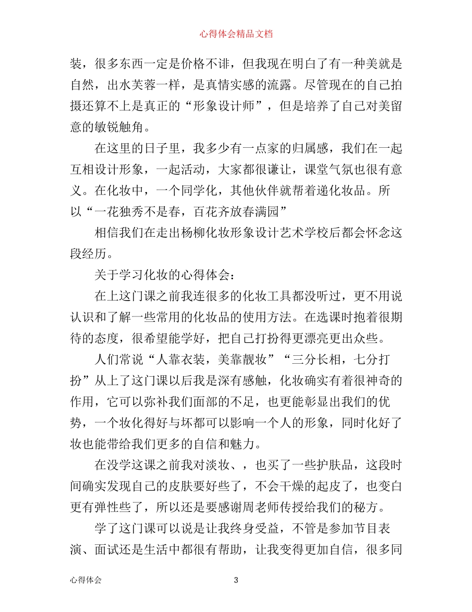 学习化妆的心得体会_第3页