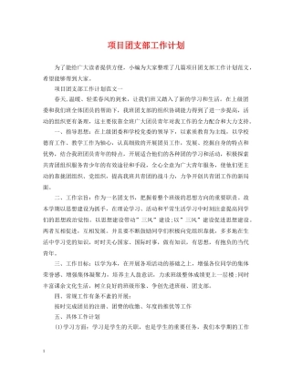 项目团支部工作计划 