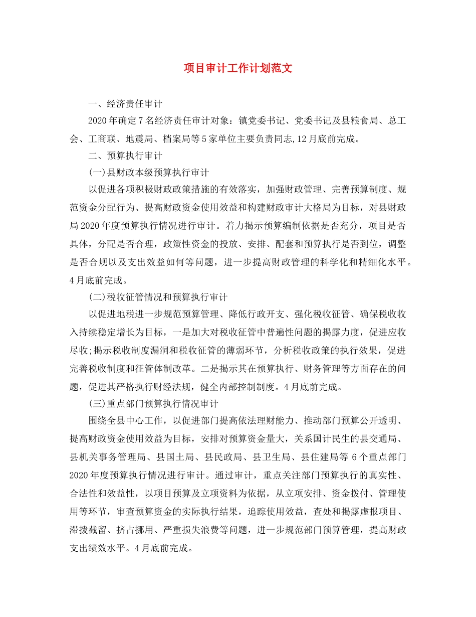 项目审计工作计划范文 _第1页