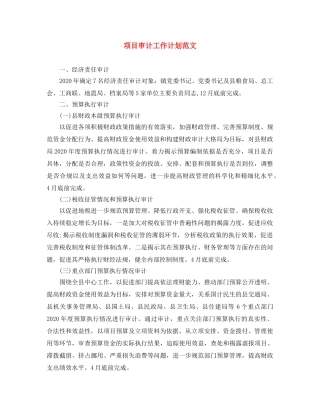 项目审计工作计划范文 