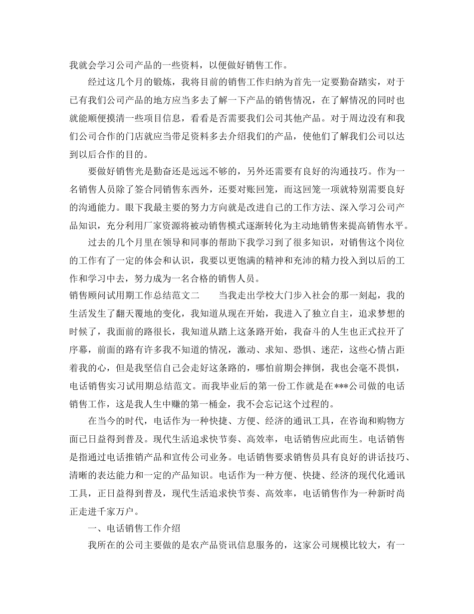 销售顾问试用期工作总结 _第2页
