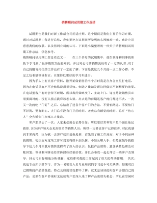 销售顾问试用期工作总结 