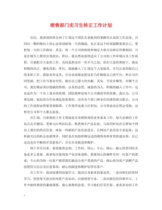 销售部门实习生转正工作计划 