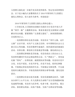 2016年领导班子五查摆五强化心得体会