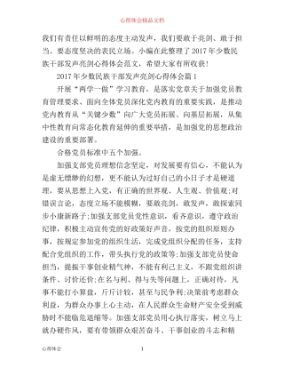 年少数民族干部发声亮剑心得体会