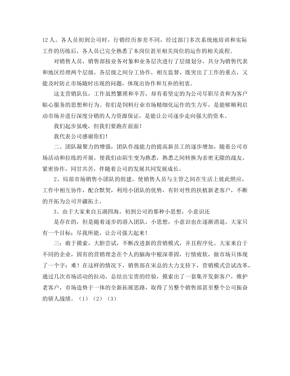 销售部工作总结 _第2页