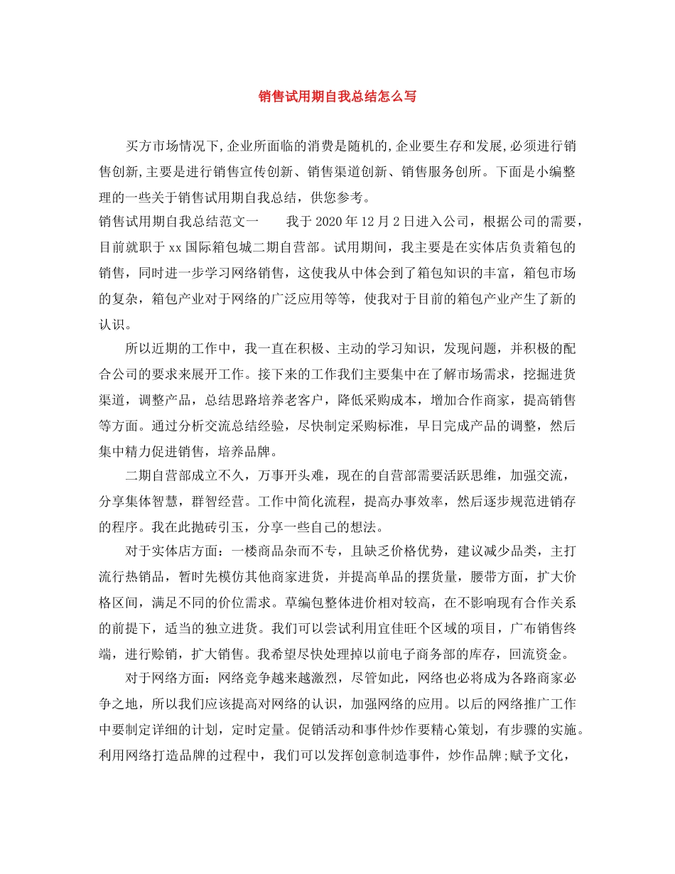 销售试用期自我总结怎么写 _第1页