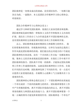 团队合作精神学习心得体会_学习团队合作精神的感悟