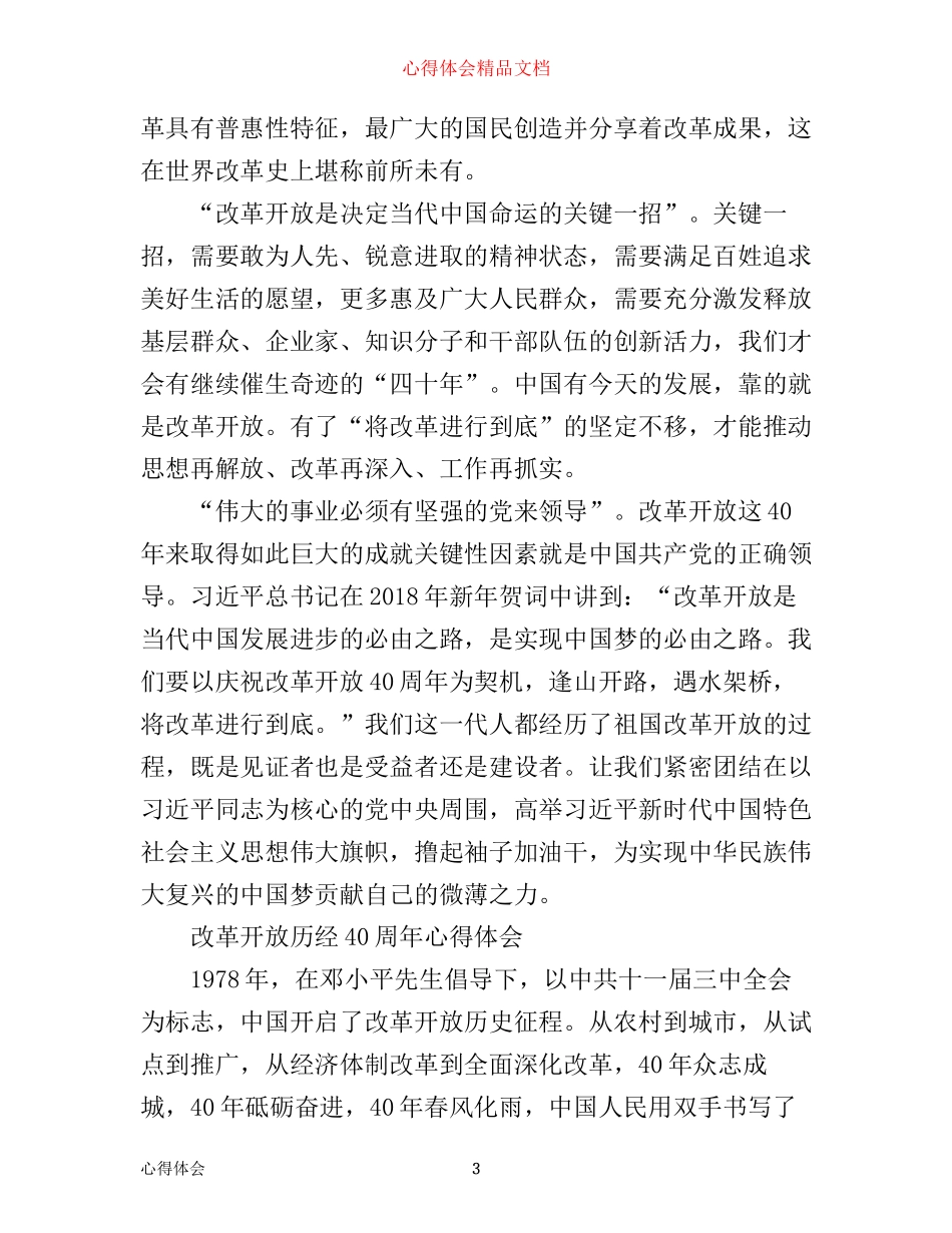 有关改革开放历经40周年心得_第3页