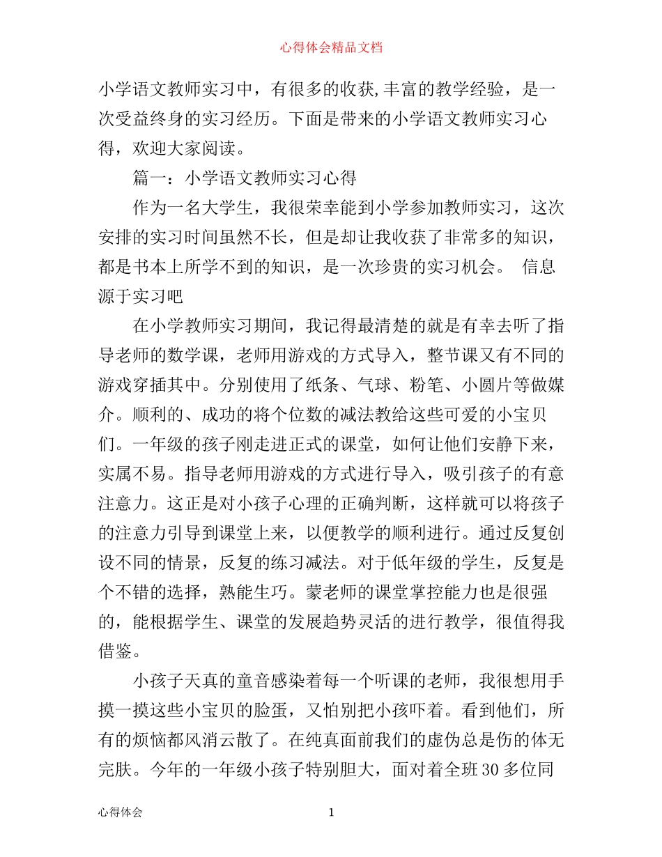 小学语文教师实习心得体会_小学语文教师个人工作小结_第1页